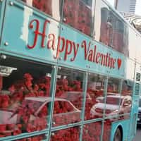 LHC Double-Decker Bus Filled with Red Roses