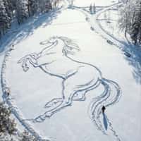 Balenciaga Horse Etched on Snow