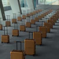 MCM Gold Luggage Adventure