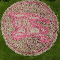 Burberry Beauty Flowers Form Logo