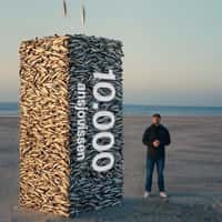 Plnktn Stacks of Fish Form Pillars