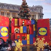 Lidl Giant Christmas Box Reveals Deluxe Treats