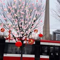 TTC Lanterns Emerge as Train Passes By