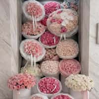 Anthurium Flowers Bouquets Spill from Elevator