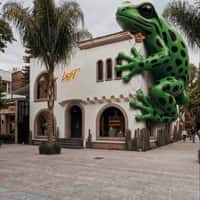 Lust Giant Frog Leaps onto Store