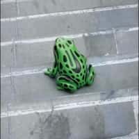 Lust Floating Black Liquid Transforms into Shoe