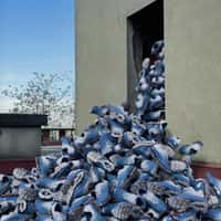 Foot Locker Shoe Avalanche at Back Door