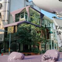 Chicha San Chen Giant Taro Bursts Into Street