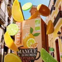 Clipper Giant Box Floats with Fruit Slices