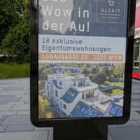 Glorit Trees Grow in the Middle of Graben