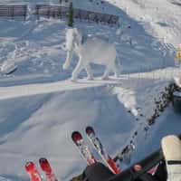 Sölden Snow Elephant Emerges on Ski Slope