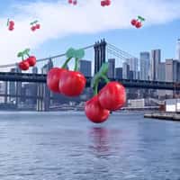 Pacha Giant Cherry Logos Fall From the Sky