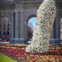 Carolina Herrera Giant Stiletto Revealed in Madrid