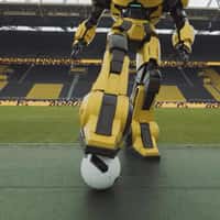 Borussia Dortmund Bumblebee Plays Football