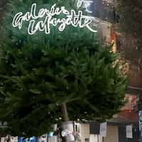 Galeries Lafayette Woman Carries Christmas Tree