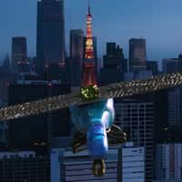 Tiffany & Co. Dragonfly Brooch Flying Above Tokyo