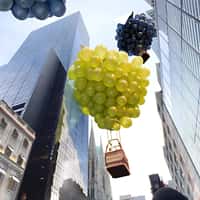 Moët Hennessy Grapes Hot Air Balloons Over NYC