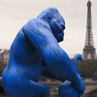 Giorgio Armani Blue Animals Roam in Paris Landmarks
