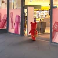 Maybelline Pink Teddy Shopping at DM Store