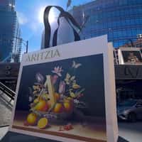Aritzia Shopping Bags Rail Transit in the City