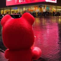 Maybelline Pink Teddy Watching Billboard