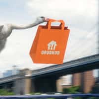 Grubhub Orange Bag Delivery by Storks in NYC