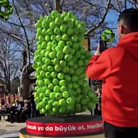 Haribo Green Apples Transforms into Gummy Bear