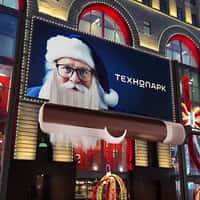 Technopark Straightener Grooms Santa’s Beard