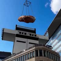 Technopark Products Taking Over the City