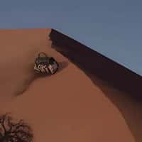 A Quick Buck Graffiti Bag Slides on Sand Dune