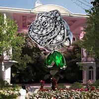 Pandora Rose Charm Blooms Inside Building