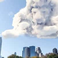 Disney Studios Mufasa Cloud at Central Park