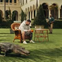 Adidas Alligator Crawling in Messi's Garden