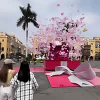 Esika Pink Gift Box Unveils Perfume and Petals