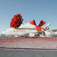 Emirates Airplane Carrying Red Rose Bouquet