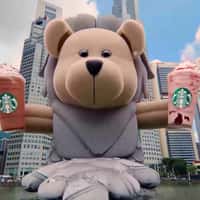 Starbucks Merlion Bearista Emerges from River