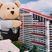Starbucks Teddy Bear Residential Delivery