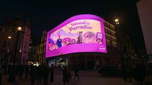 Whiskas Cat Lounges on Gravy Lake in a 3D Billboard ad of Whiskas