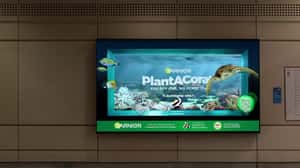 Turtle Swims Out of Water in a 3D Billboard ad of Garnier