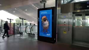 Falcon Looks Peeks Out and Looks Around in a 3D Billboard ad of ANZ