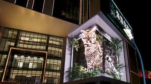 White Tiger Steps Out in a 3D Billboard ad of Shiseido