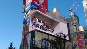 Cat Drifts Out of Screen and Gets Pulled Back in a 3D Billboard ad of Unknown