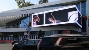 Panther Sits on Screen Edge in a 3D Billboard ad of Cartier