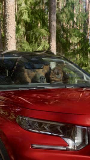 Grizzly Bear Grooving Inside the Car in a fake-out-of-home ad of Citroën