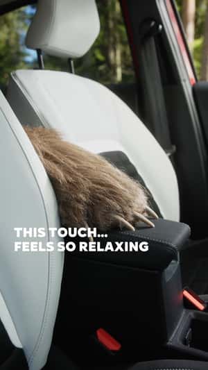 Grizzly Bear’s Paw Touching Car’s Surface in a fake-out-of-home ad of Citroën
