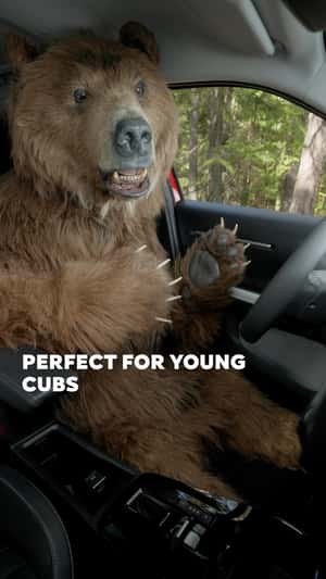 Grizzly Bear Taking Video in a fake-out-of-home ad of Citroën