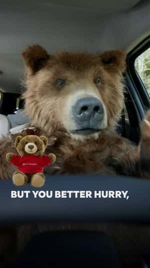 Grizzly Bear Vlogging in a fake-out-of-home ad of Citroën