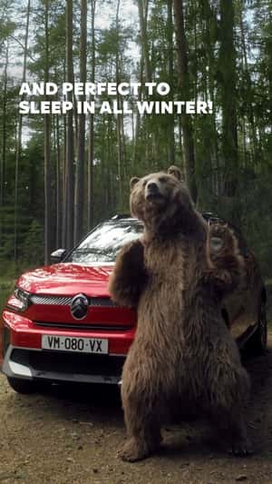 Citroën Grizzly Bear Makes a Vlog in a fake-out-of-home ad of Citroën