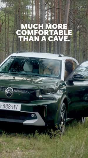 Grizzly Bear Spotted Sniffing the Car in a fake-out-of-home ad of Citroën