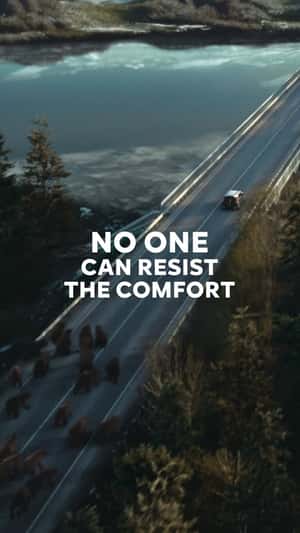 Grizzly Bears Chasing the Car in a fake-out-of-home ad of Citroën